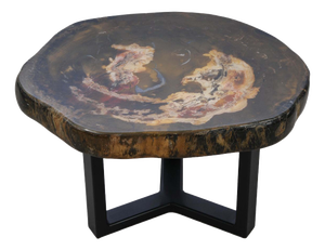 Petrified Wood Coffee Table by Xyleia Petrified Wood