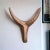 Art Deco Medium Nguni Head Black Iroko, Animal Head Wall Sculpture, Gunsmoke For Sale - Image 3 of 9