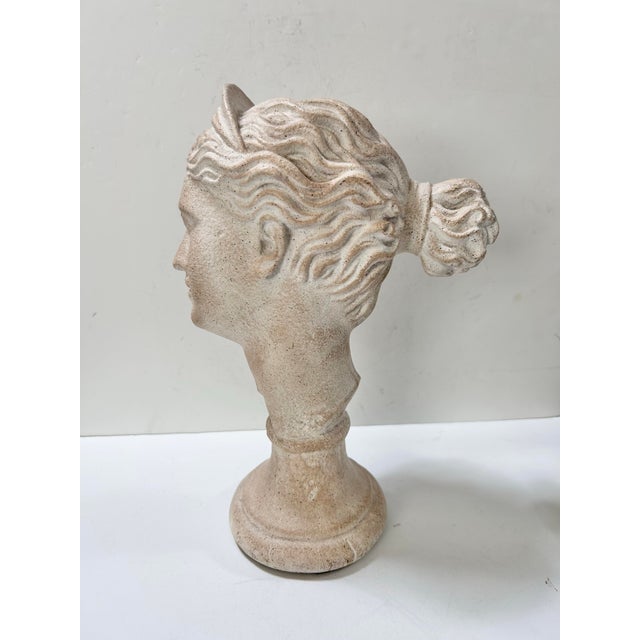 Vintage Roman Goddess Juno Classical Bust Sculpture – Austin Productions For Sale In Louisville - Image 6 of 7