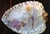 Late 19th Century Extraordinary Large 19th Century Porcelain Heart Shaped Wall Hanging or Centerpiece, Hand-Painted - By G. W. Turner, Tunstall, England For Sale - Image 5 of 11