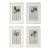 14.2" by 18.9" Set of 4 - Contemporary Dark Green Botanical Organic Modern Original Oil Paintings / Herbarium / Floral / Earth Tones For Sale