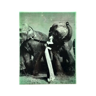 Vintage 1930s Photo Transfer on Board With Gilded Copper Edge For Sale