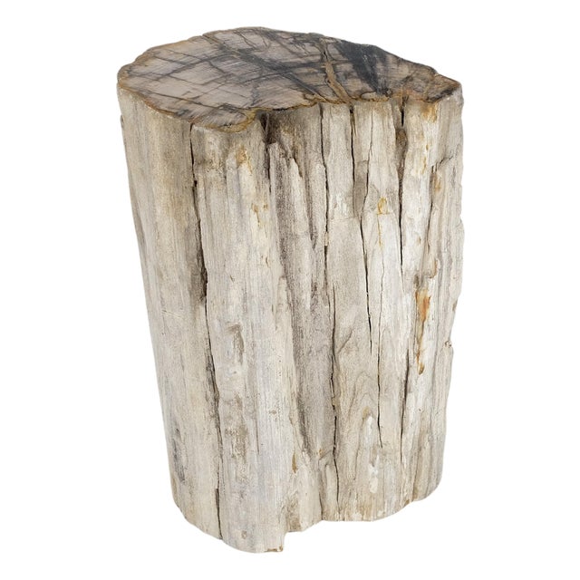 Large Beige Petrified Wood Organic Stomp Shape Stand End Side Table Pedestal For Sale