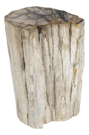 Large Beige Petrified Wood Organic Stomp Shape Stand End Side Table Pedestal
