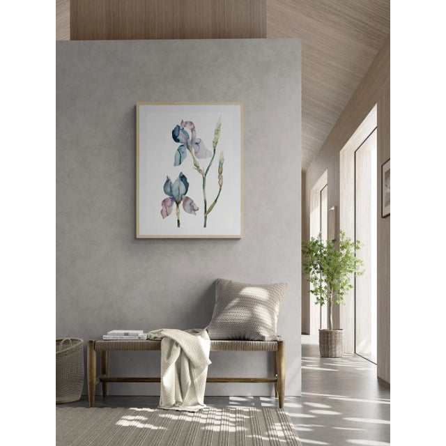 Original watercolor painting on 140 lb cold press paper Artist: Elizabeth Becker Year: 2023 Image and Paper Size: 22.5" x...