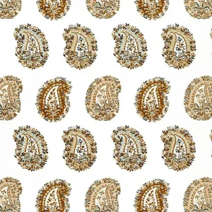 Schumacher Arklow Paisley Fabric in Stone