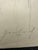 Carl Heinz Berberich, Nude Drawing, 1923, Pencil For Sale - Image 12 of 13