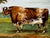 Victorian British Shorthorn Bull Pastoral Oil Painting in Gilt Frame c.1890 in the Manner of William Ward For Sale - Image 4 of 18
