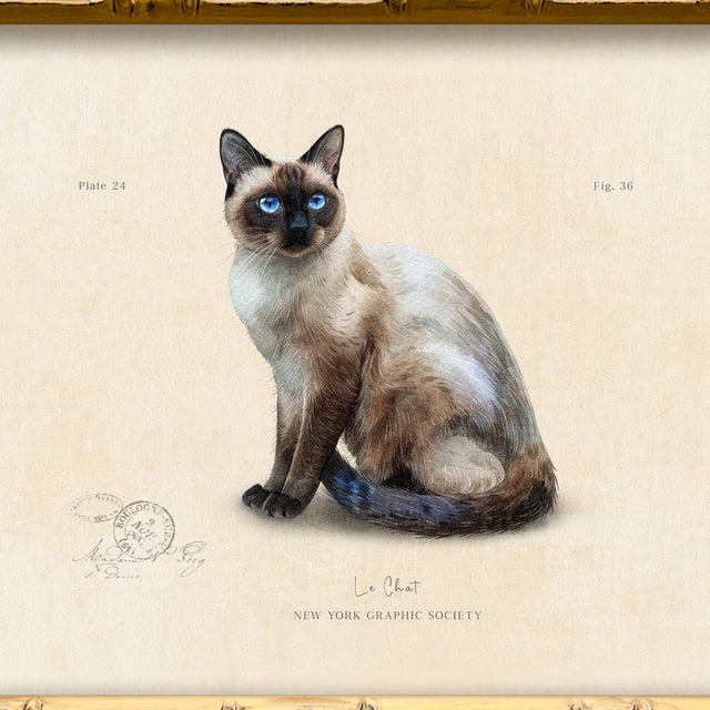 Illustration Reproduction Art Print of Vintage “Le Chat" Illustration (Cat 2), Framed For Sale - Image 3 of 4