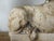 Mid 20th Century Style After Canova Neoclassical Recumbent Lion Table Lamps - a Pair For Sale - Image 10 of 15