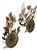 Vintage Florentine Gold Gilt Metal Rose Sconces - a Pair For Sale - Image 14 of 14