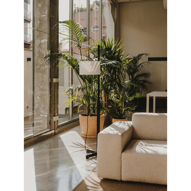 White and Beech Wood TMM Floor Lamp by Miguel Milá For Sale - Image 13 of 17