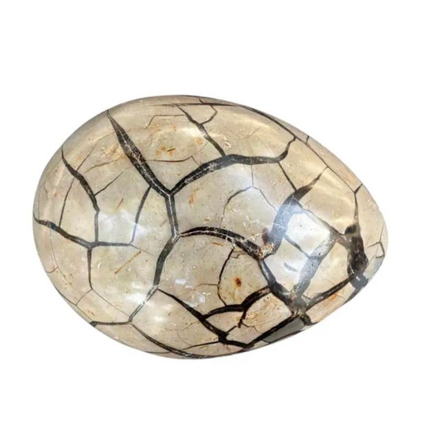 This Septarian "Egg" Geode is shaped by deep time and reveals a dramatic interior of crystalline textures and geometric...