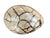 This Septarian "Egg" Geode is shaped by deep time and reveals a dramatic interior of crystalline textures and geometric...