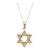 Diamond Star of David Necklace 10kt Yellow Gold 0.15ctw Gh Si New For Sale