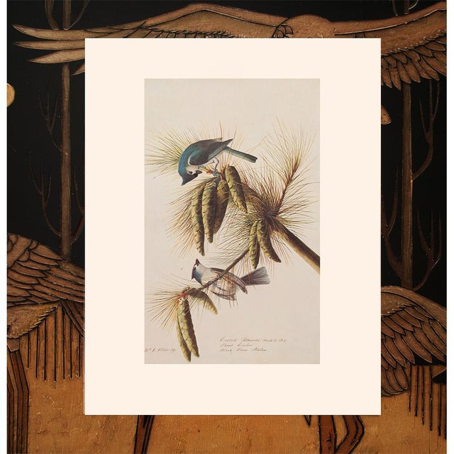1966 Tufted or Crested Titmouse After Audubon, American Classical Print For Sale - Image 9 of 10