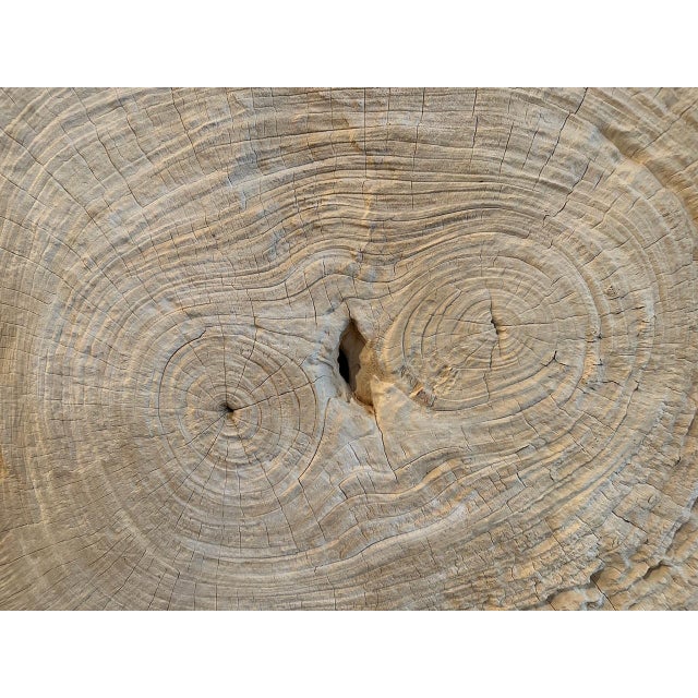 2010s Andrianna Shamaris Rare Bleached Teak Wood Slab For Sale - Image 5 of 5