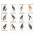 Reproduction Antique 1805 French Parrot Prints - Set of 12 For Sale