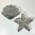 1980s 1980s Vintage Coastal Boho Chic Wicker Clam Shell & Starfish Sculptural Wall Objects - A Pair. For Sale - Image 5 of 7