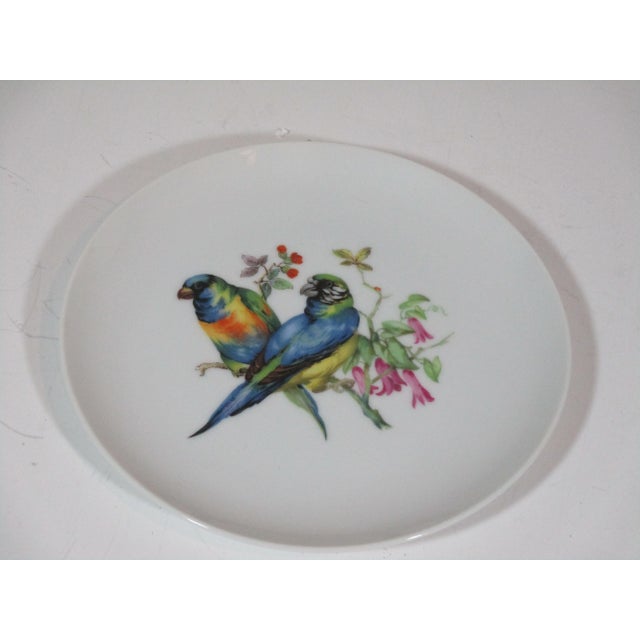 Mottahedeh 1960s Mottahedeh Parrots on a Branch Plate For Sale - Image 4 of 4