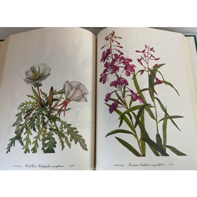 1978 “Wild Flowers of America” Illustrated Book For Sale - Image 10 of 11