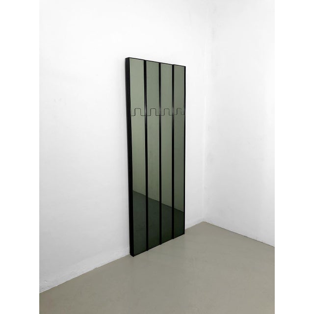 Gronda Wall Mirror Coat Racks by Luciano Bertoncini for Elco, Italy, 1970s, Set of 4 For Sale - Image 10 of 10