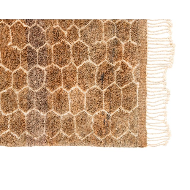 Golden light on the savanna: a honeycomb of warm earth tones, glowing from edge to edge. A continuous honeycomb lattice in...