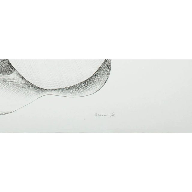 Black Rose - Original Etching by Giacomo Porzano - 1972 1972 For Sale - Image 3 of 4