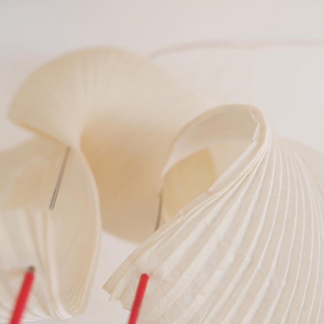 Yoruba Rose Table Lamp by Dagmar Mombach & Ingo Maurer for Ingo Maurer, 2010s For Sale - Image 10 of 18