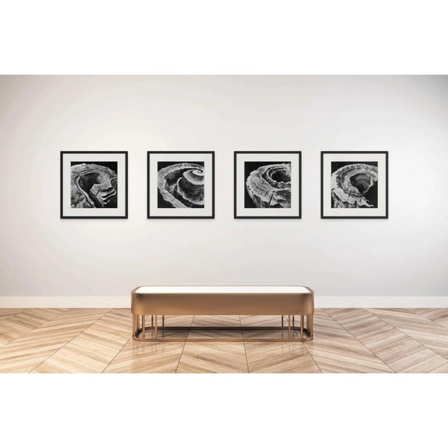 Relief Landscapes – Set of Four Fine Art Prints For Sale - Image 6 of 7