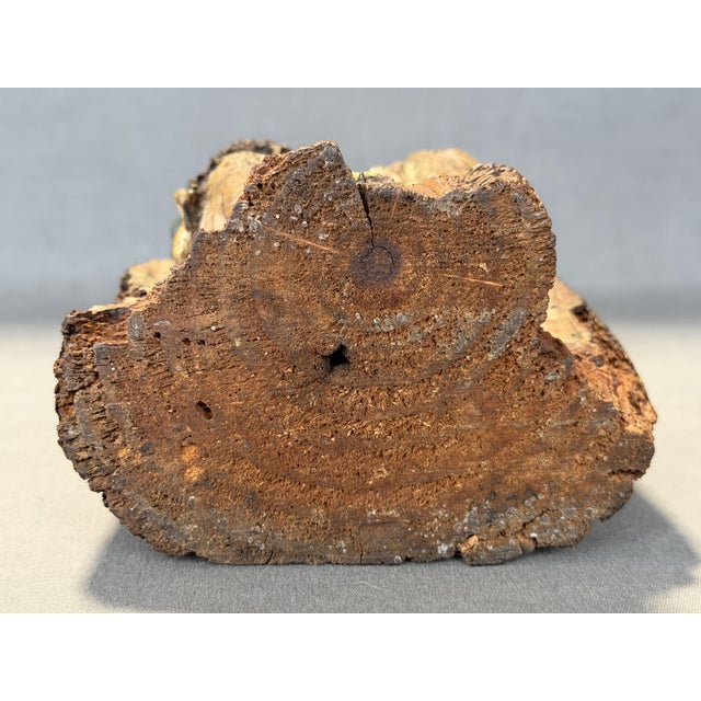 Portuguese School Artist, Seated Virgin, 18th Century, Carved and Polychromed Wood For Sale - Image 6 of 10