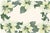 Contemporary Contemporary Poinsettia Paper Placemat Pads- Set of 30 For Sale - Image 3 of 3