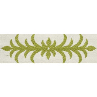 Schumacher X Celerie Kemble Acanthus Tape in Moss For Sale