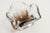 Square Clear and Brown Murano Glass Ashtray, 1960s For Sale - Image 9 of 13