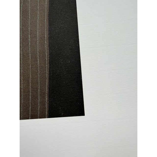 Gray Domenico Gnoli (1933-1970), Striped Trouses, 1969, Copyright Marzia Gnoli, 1994, Printed in the Netherlands For Sale - Image 8 of 10
