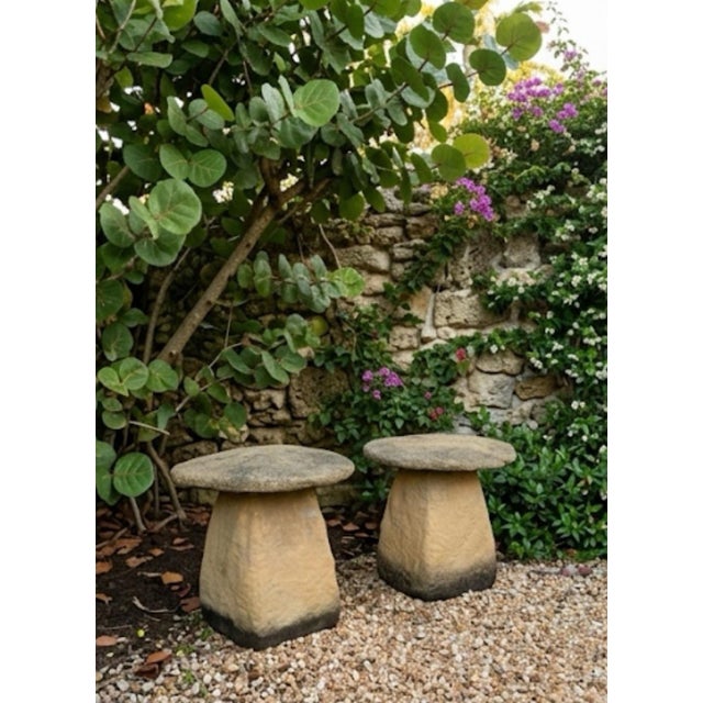 Dark Gray Pair of Vintage Rustic Cast Stone Mushroom Garden Ornaments For Sale - Image 8 of 12