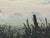 Hedgerow & Fields with Wild Flowers in an Overcast English Countryside Landscape 1985 For Sale - Image 6 of 17