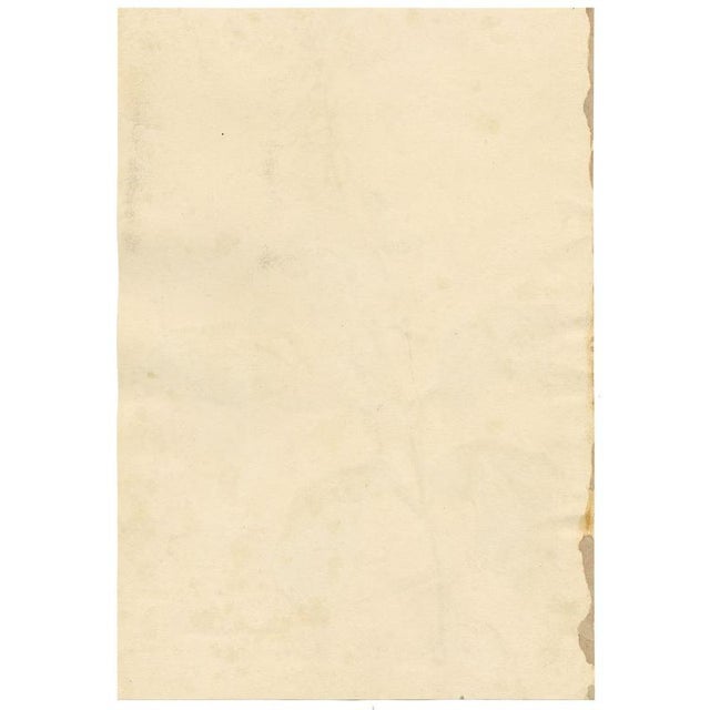 E.B.R., Foxglove (Digitalis) Flower, Watercolour For Sale - Image 6 of 7