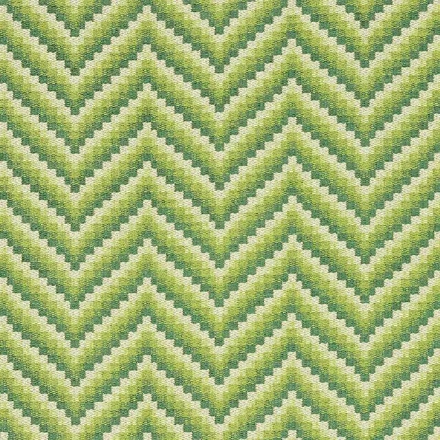 Schumacher Wilder Fabric in Grass For Sale