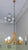 Danish chandelier by Domus with 5 arms, 1970s, 60 cm diameter, height variable between 40 cm and 165 cm. I have official...