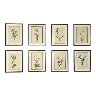 Vintage Botanical Set of 8 Framed - Authentic 1953 Wild Flower Prints For Sale