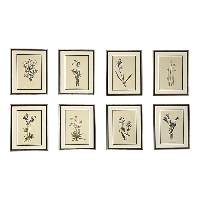 Vintage Botanical Set of 8 Framed - Authentic 1953 Wild Flower Prints For Sale