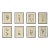 Vintage Botanical Set of 8 Framed - Authentic 1953 Wild Flower Prints For Sale