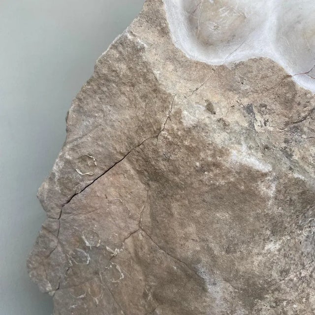 Hand Carved Marble Sculpture by Tom Von Kaenel For Sale - Image 6 of 7