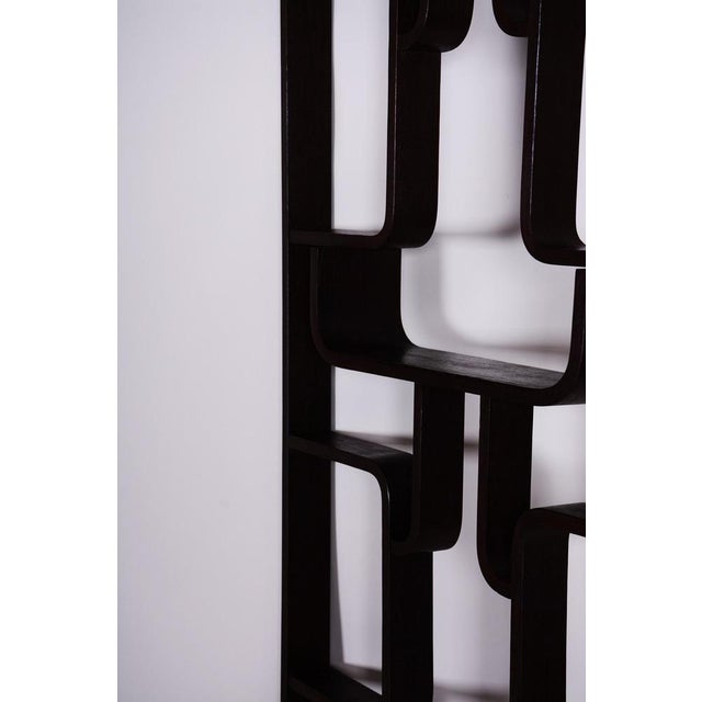 Black Room Divider by Ludvik Volak for Drevopodnik Holesov, 1960s For Sale - Image 8 of 10