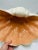 Large Vintage Coastal Ceramic Clam Shell For Sale - Image 9 of 12