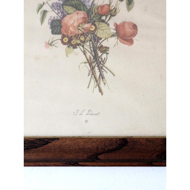 Wood Vintage Framed Botanical Prints by Jl Prevost Set For Sale - Image 7 of 11