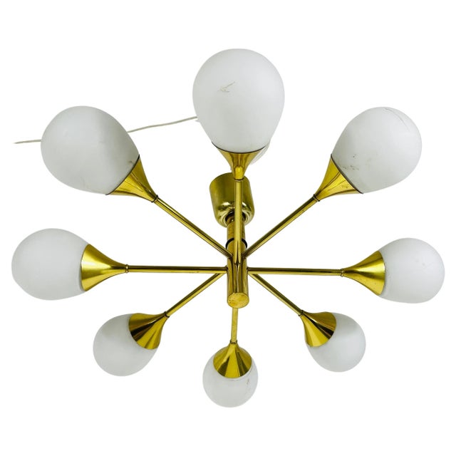 Mid-Century Modern Brass Chandelier from Kaiser Leuchten, 1960s For Sale - Image 11 of 11