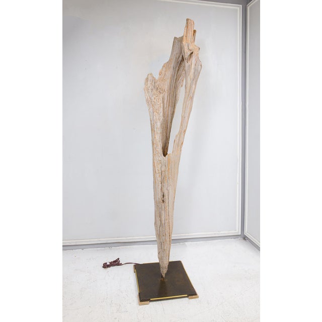 Sculptural Bespoke Driftwood Floor Lamp. Note this item can be made to order. One floor lamp is currently available.