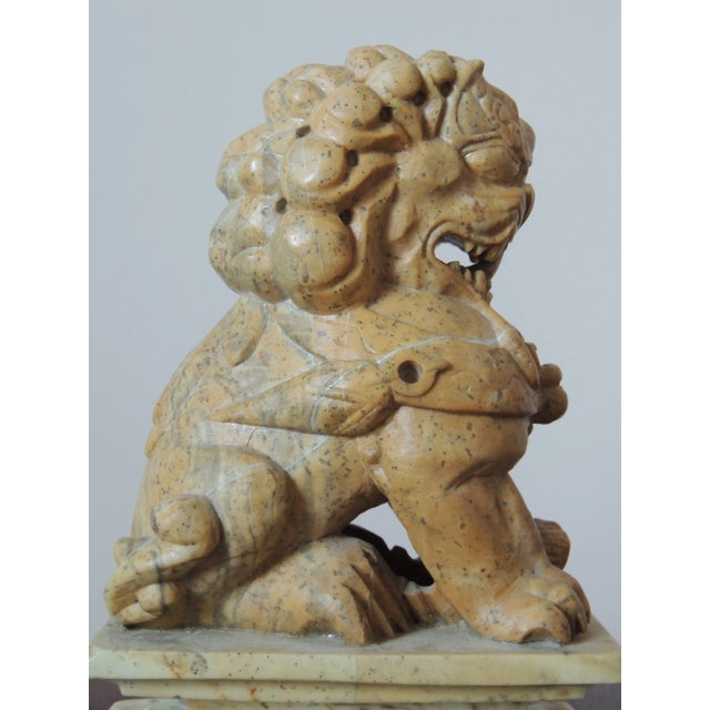 Tan Mid 20th Century Natural Stone Asian Female Fu Dog For Sale - Image 8 of 13